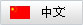 中文版