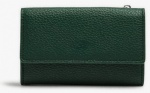 Flap card hodler with zipper pocket and card slots on the back